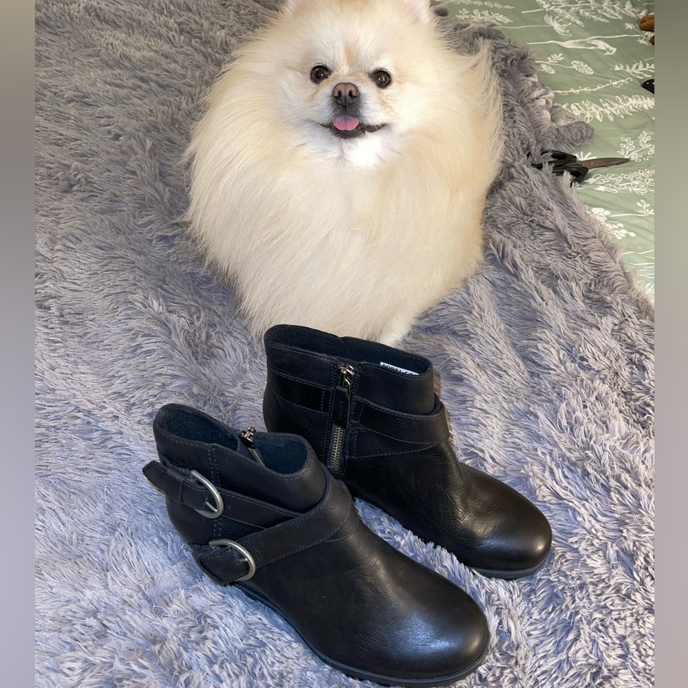 NEW Without Box never worn Sorel Joan of Arctic II wedge buckle bootie in black